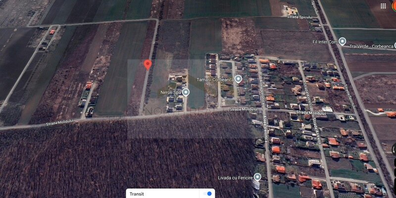 Molidului, langa padure, teren 600 mp.